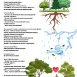 Caccia al tesoro PasqualeDigitale