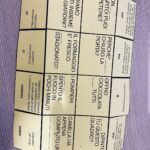 UGO FOSCOLO: VITA E POETICA – Lezione Completa (18 Slide + Verifica + Griglia)Digitale