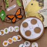 PETRARCA: LE OPERE – Modulo Completo (23 Slide + Verifica + Mappa Concettuale)Digitale