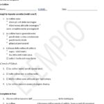 schema per lo studio delle regioniDigitale