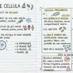 I Romani parte I!Digitale