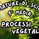 Virus_KIT MULTIMODALE SCIENZE 1°media_slide+ infografica+ mappa mentale+ disegno da colorare+VERIFICA LE COMPETENZE+OMAGGIO:VIDEO&PODCASTDigitale