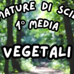 Funghi_KIT MULTIMODALE SCIENZE 1°media_slide+ infografica+ mappa mentale+ disegno da colorare+VERIFICA LE COMPETENZE+OMAGGIO:VIDEO&PODCASTDigitale