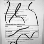 Trova la parola giusta: discriminazione visiva (Free)Digitale