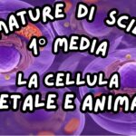 Giornata delle api classe seconda e terzaDigitale