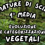 i Processi dei Vegetali_KIT MULTIMODALE SCIENZE 1°media_slide+ infografica+ mappa mentale+ disegno da colorare+VERIFICA LE COMPETENZE+OMAGGIO:VIDEO&PODCASTDigitale