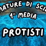 Procarioti_KIT MULTIMODALE SCIENZE 1°media_slide+ infografica+ mappa mentale+ disegno da colorare+VERIFICA LE COMPETENZE+OMAGGIO:VIDEO&PODCASTDigitale