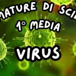 Vegetali_KIT MULTIMODALE SCIENZE 1°media_slide+ infografica+ mappa mentale+ disegno da colorare+VERIFICA LE COMPETENZE+OMAGGIO:VIDEO&PODCASTDigitale